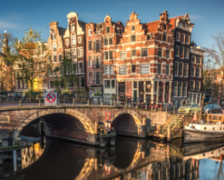 Street Food Tasting Experience of Amsterdam